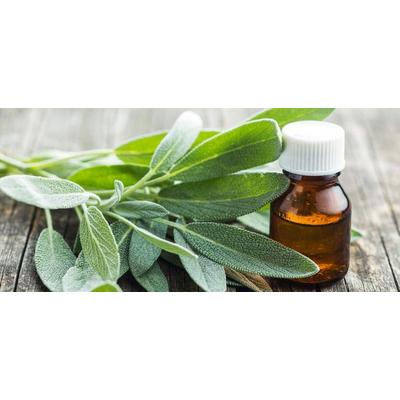 ACI ELMA YAĞI (ADAÇAYI YAĞI) (20 ML)