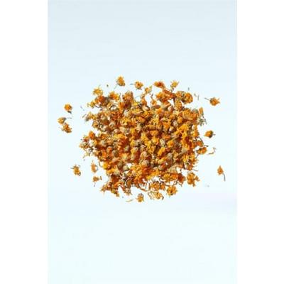 AYNI SEFA ÇİÇEĞİ (100 GR)