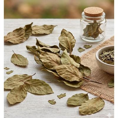 AYVA YAPRAĞI ( 50 GR)