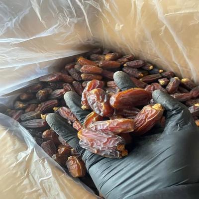 ORGANİK MEDİNE MEBRUM DUBLE HURMA 1 KG ( İRİ BOY)