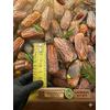 Organik Medine Mebrum Özel ( Jumbo Boy) Boy- 1KG
